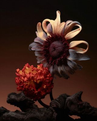 Still Life Flowers No5