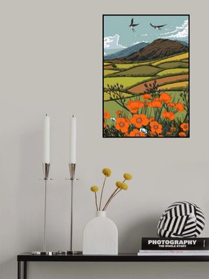 Summer Landscape And Rolling Hills