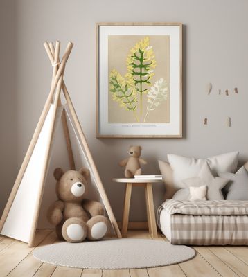 Cineraria Maritima Fairbairnianum Leaf Illustration