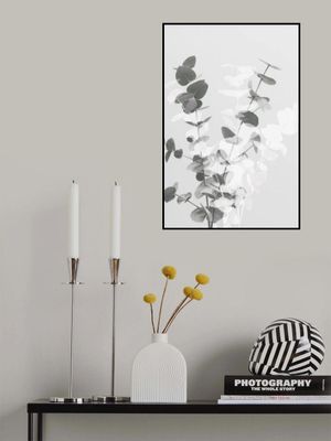 Eucalyptus Creative 08