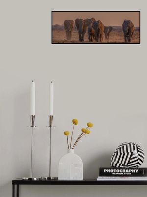 running towards the water