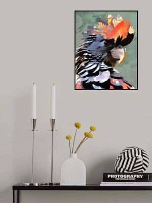 Cockatoo: Flame &amp; Feather