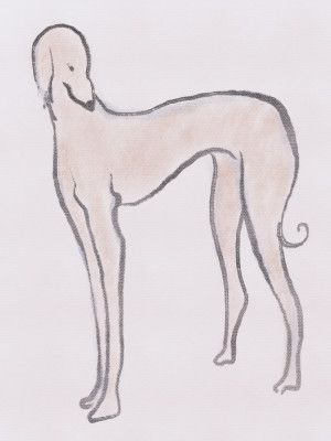 Elegant Canine Form