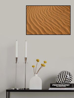 Jockey's Ridge Sand Dunes