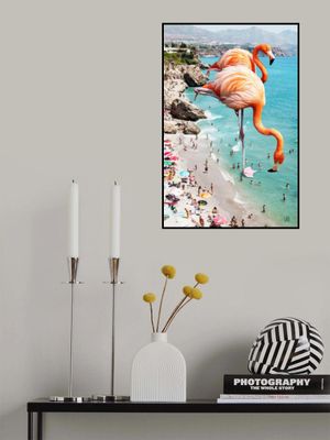 Flamingos On the Beach