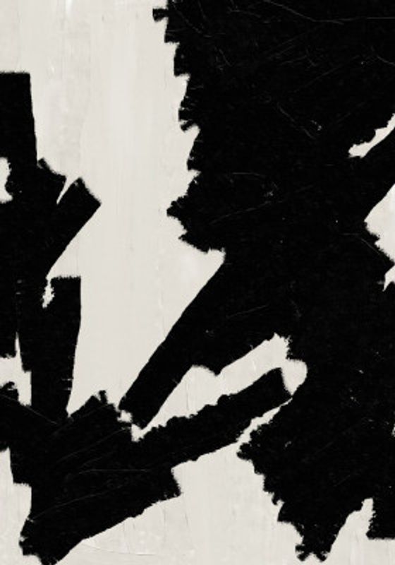 Bold Contrast Canvas