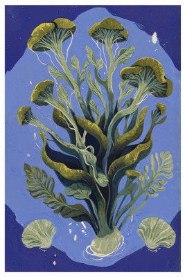 Oceanic Plants