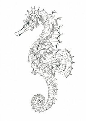 Ornate Seahorse Design