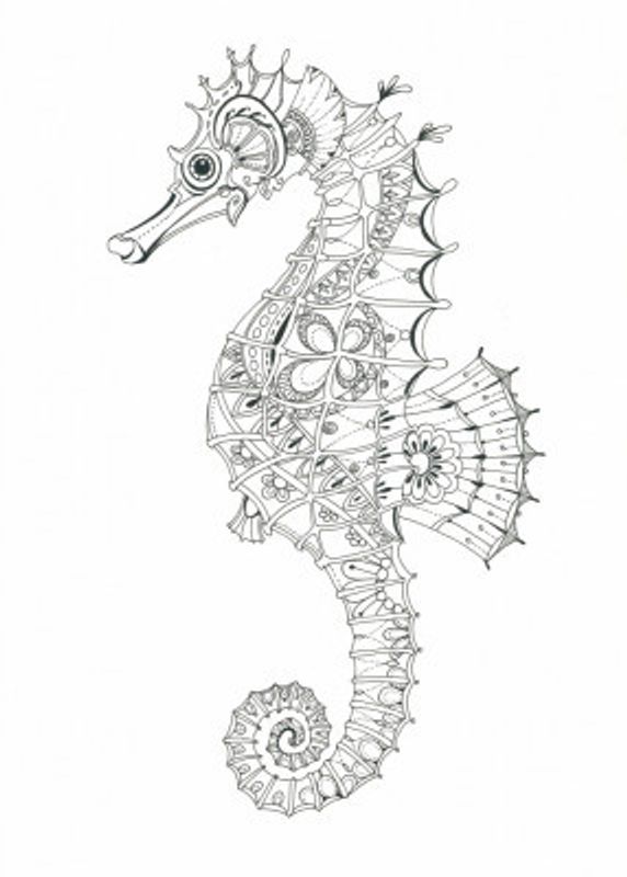 Ornate Seahorse Design