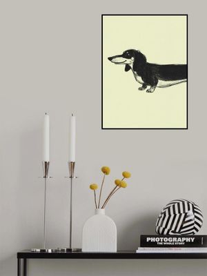 Dachshund 1 Green