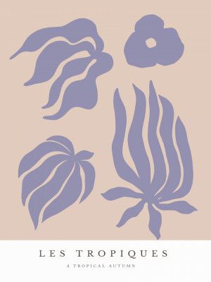 Tropical Silhouettes