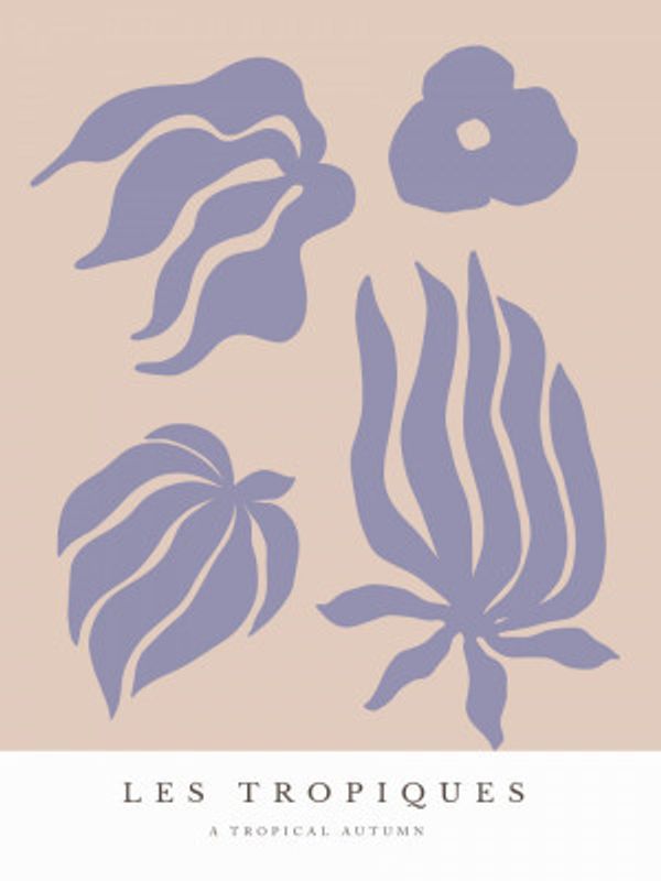 Tropical Silhouettes