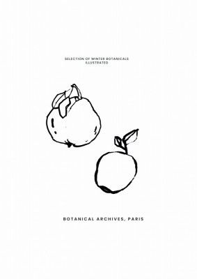 Abstractbotanicsno07