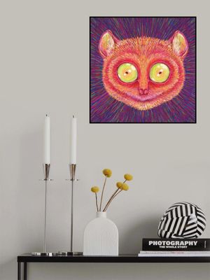 Animal Face   Tarsier