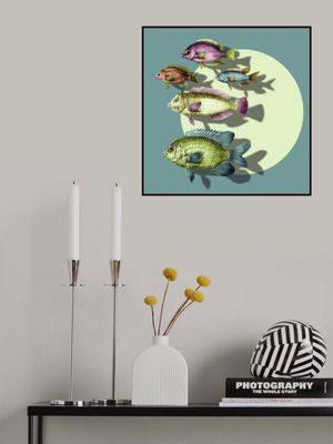 For the Love of Fish