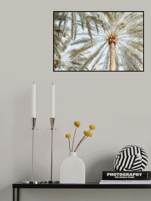 Palm Trees with blue sky