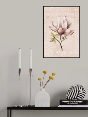 Magnolia Blush No2