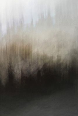 Woodland Layers Layers