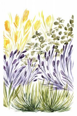 Elisa's garden right