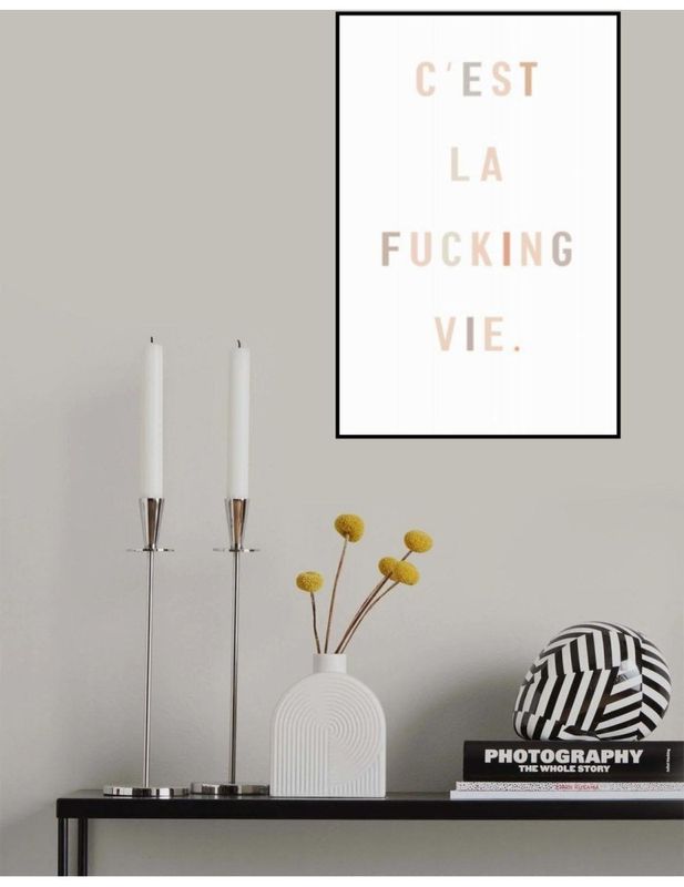 C'est La Fucking Vie,  