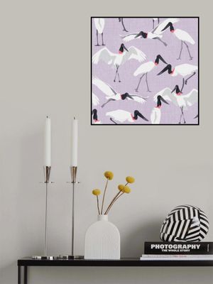 Dance of the Tuiuiui Lavender