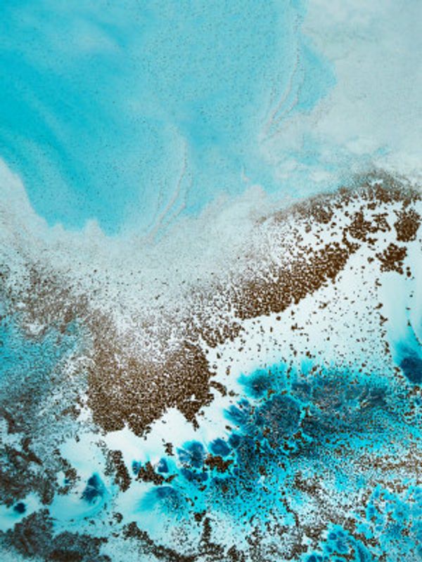 Sea Life Set 1 Upscaled Cgi 13287w Copy