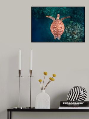 Flying over the reef