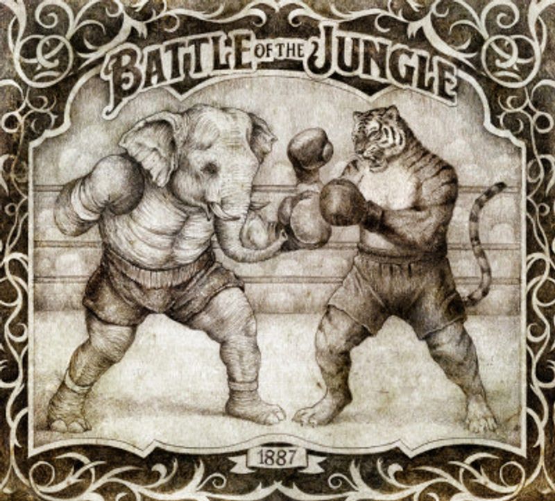 Battle of the Jungle