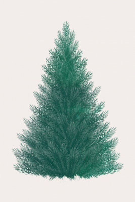 Xmas Christmas (2025) – 00065