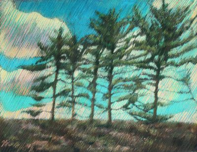 Hatertse Vennen (Hatert Meres) 01 (2012)