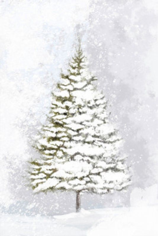 Lone fir in the snow