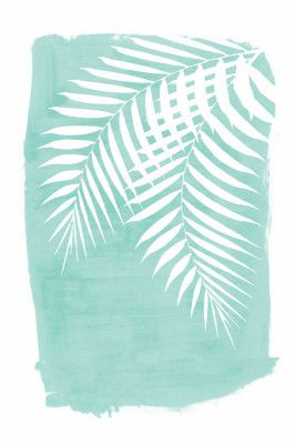 Teal Palm Leaves Foliage Silhouette