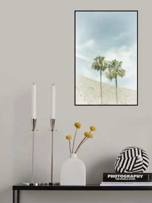 Vintage Palm Trees in the desert
