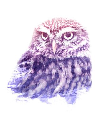 0013 Animal Watercolor