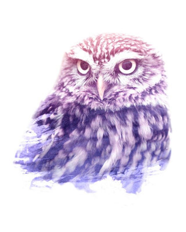 0013 Animal Watercolor