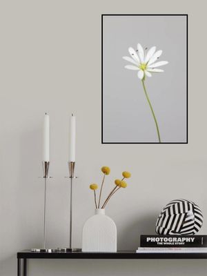 Small white flower_1