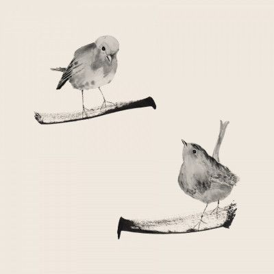 Two Robins On Branches