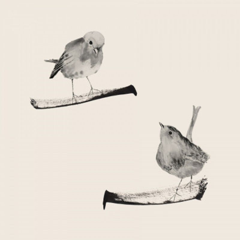 Two Robins On Branches