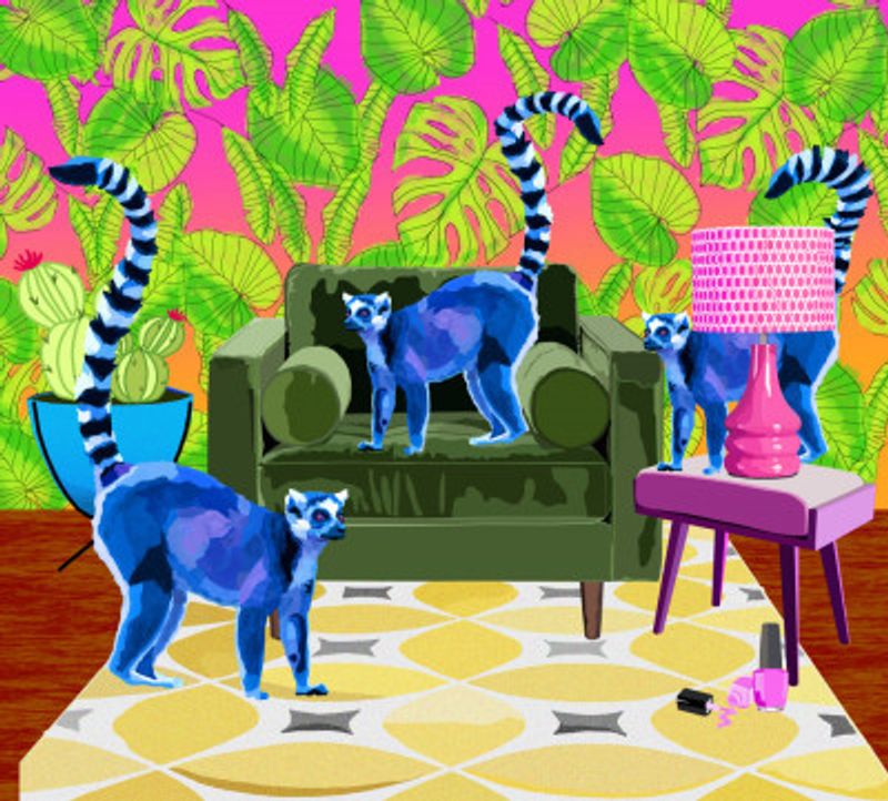 Lemurs in the House