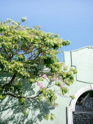 Pastel Oaxaca Architecture | Mexico travel photography