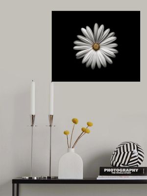 Gerbera