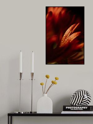 Beauty And Vibrant Elegance OfRed Flowers