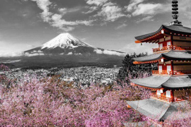 Lovely view of Mount Fuji with Pagoda and Cherry Trees - colorkey