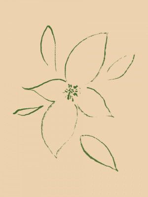 Gentle Blossom Sketch