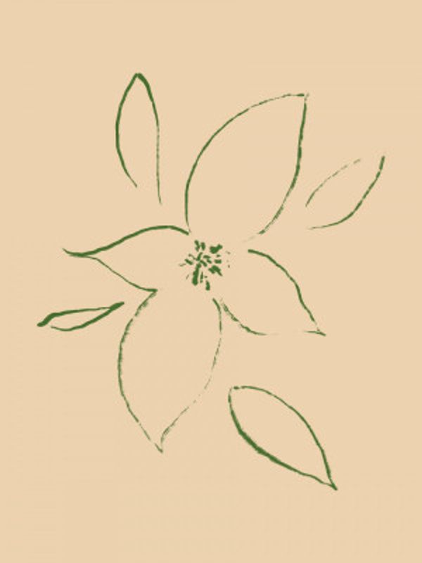 Gentle Blossom Sketch