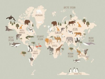 Wildlife World Map