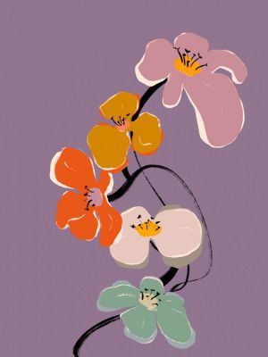 Vibrant Orchid Dance