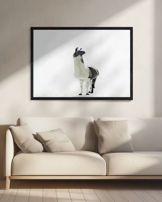 Llama Elegance and Solitude