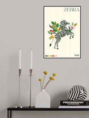 ZEBRA. Zebra Collection