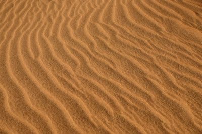 Jockey's Ridge Sand Dunes